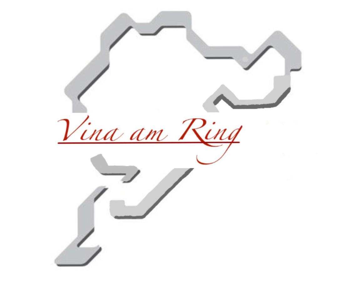 Bed and Breakfast Vina Am Ring Mannebach  Esterno foto
